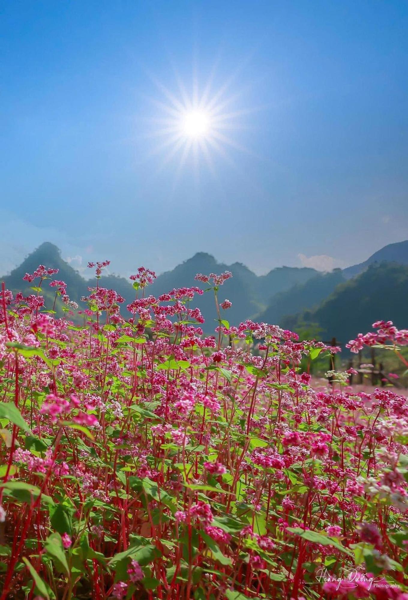 Thuy Anh Hotel Хазянг Екстер'єр фото